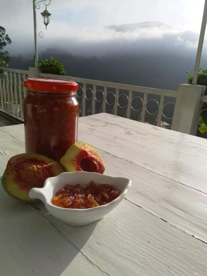 The Farm House Nuwaraeliya Нувара Елия Екстериор снимка