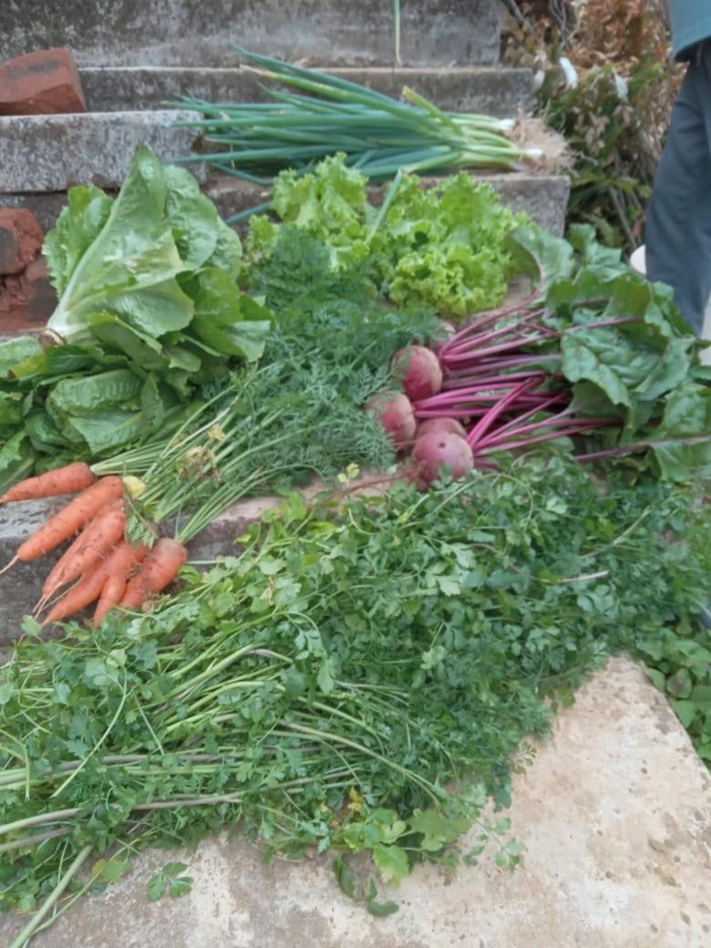 The Farm House Nuwaraeliya Нувара Елия Екстериор снимка