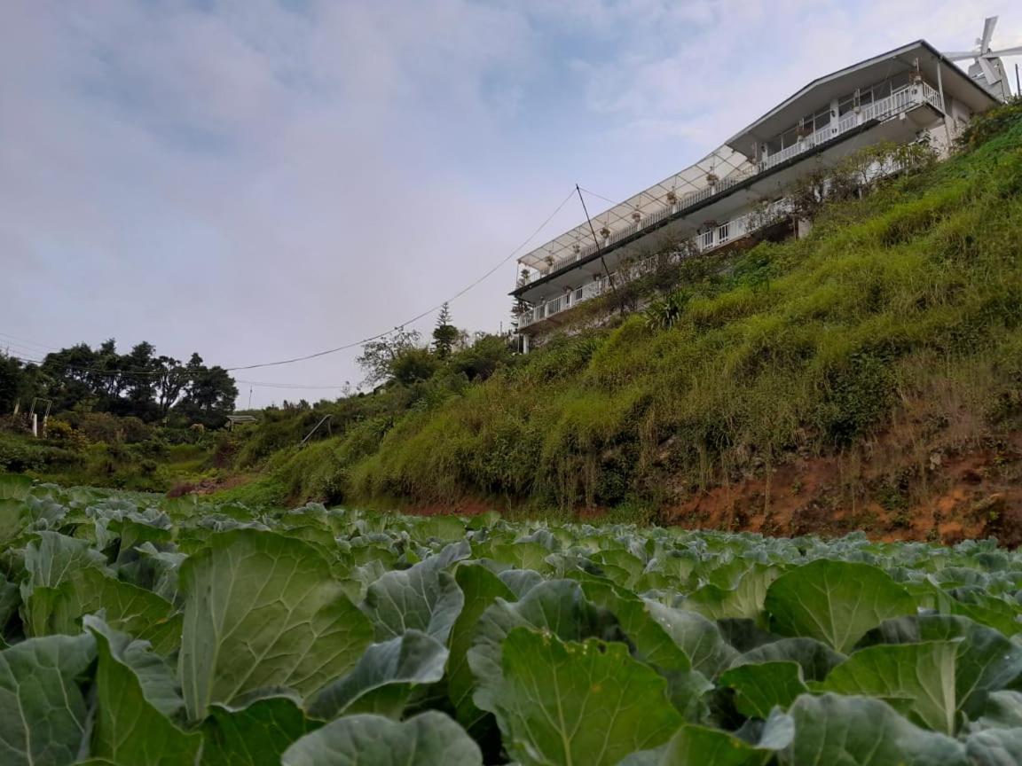The Farm House Nuwaraeliya Нувара Елия Екстериор снимка